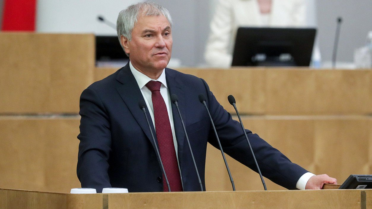 Володин: организаторов нелегальной миграции будут лишать денег и имущества